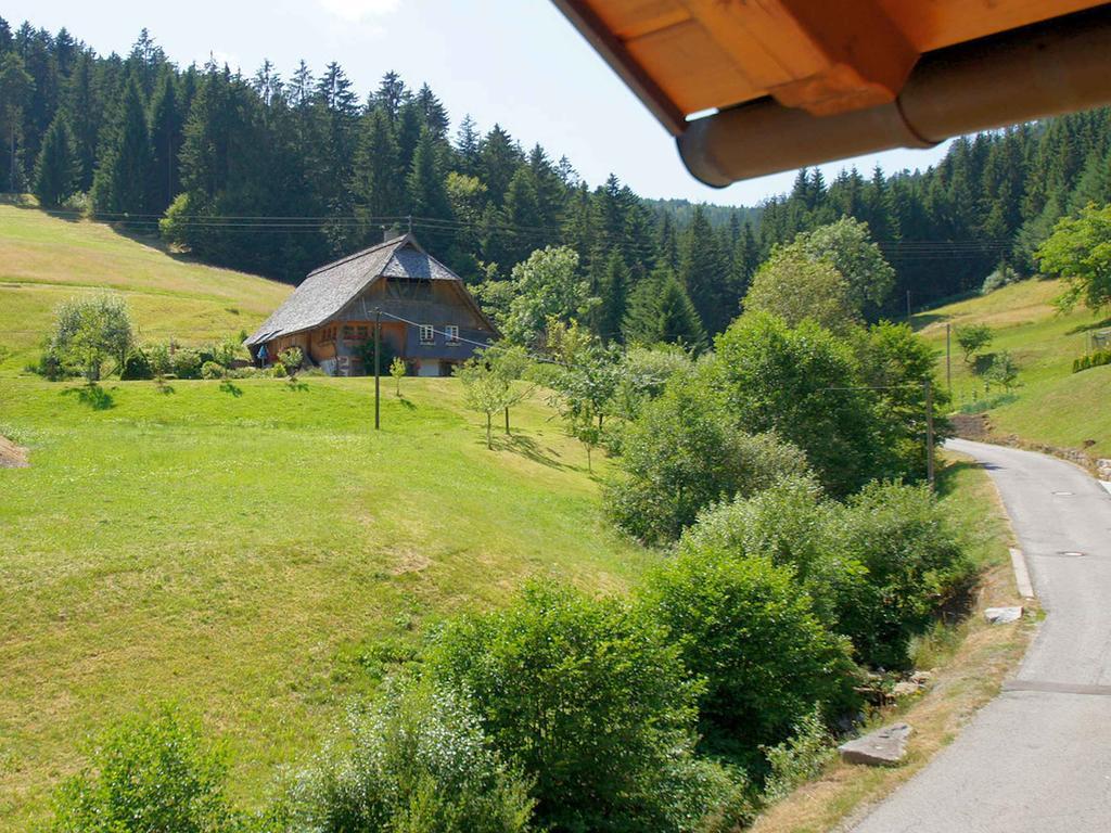 Gastehaus Herrmann Bad Rippoldsau-Schapbach Екстериор снимка