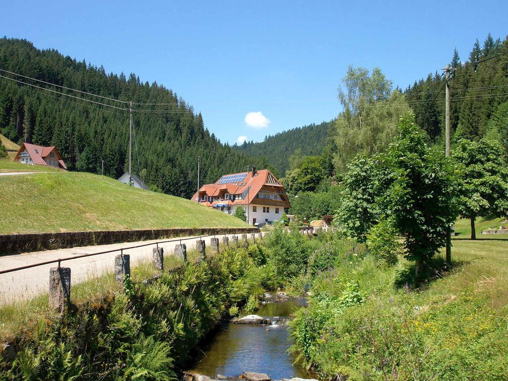 Gastehaus Herrmann Bad Rippoldsau-Schapbach Екстериор снимка