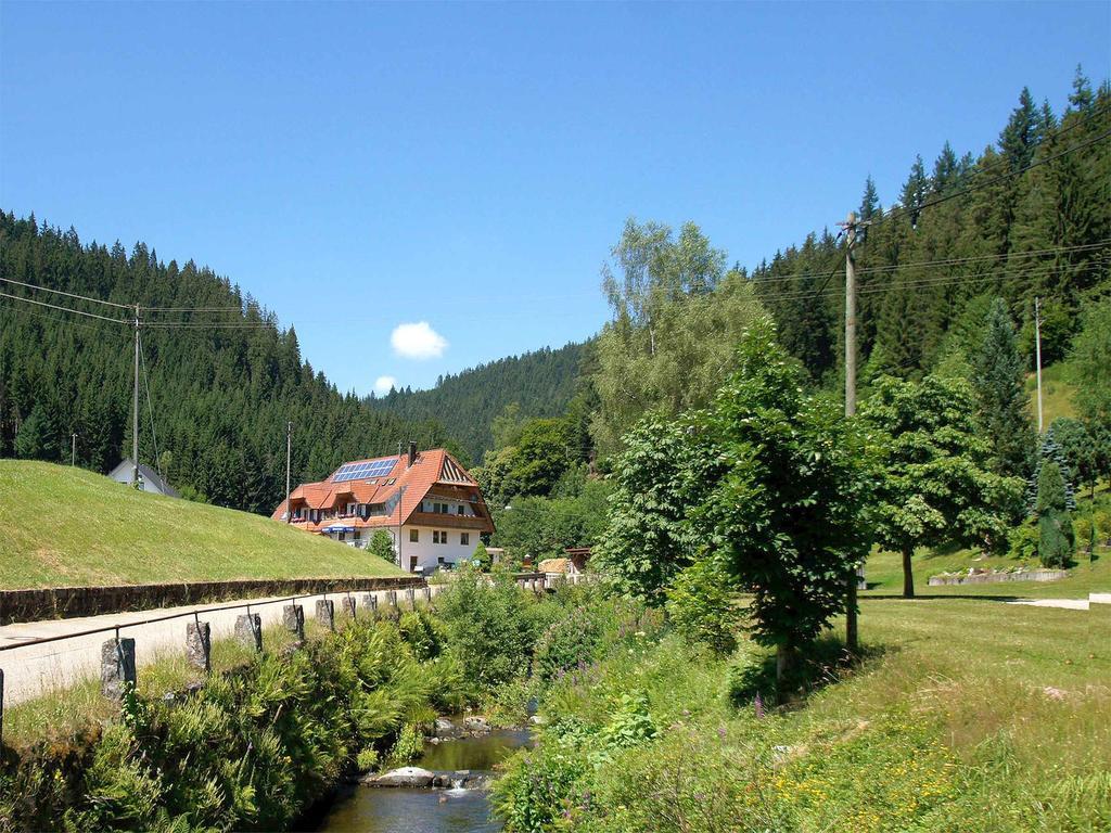 Gastehaus Herrmann Bad Rippoldsau-Schapbach Екстериор снимка